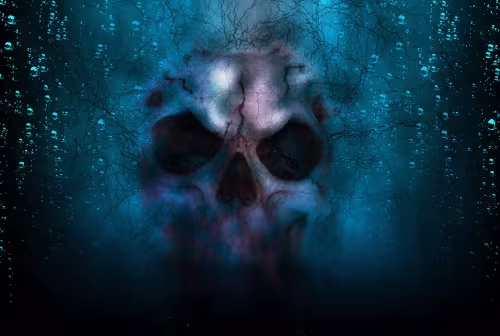 tête de mort sur fond bleu
