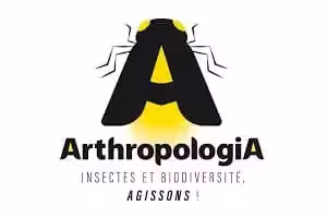 La lettre A comme Arthropologia en majuscule, sur laquelle se greffent des petites pattes d'insectes.